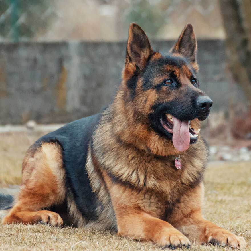 Wellness / Privates / Classes